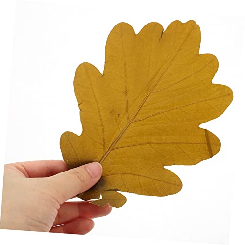 ABOOFAN 20pcs Japanese Sushi Leaves Decor Sashimi Plate Decor Unique Sushi Mat for Food Photography