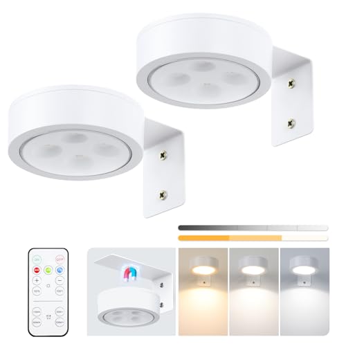 2-Pack Picture Light Battery Operated, LED Painting Lights with Remote, Dimmable and Timer Painting Light, Art Display Light for Picture Frame Artworking Portrait, Home Wall Decor wall lights, White - color: White - 2 Pack