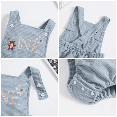 IMEKIS Baby Girls Boys Boho 1st Birthday Outfit Backless Overalls Romper for Cake Smash Photo Shoot - color: Blue Bear One, size: 12-18 Months