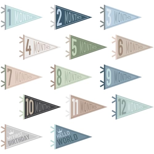 VitalCozy 14 Pcs Baby Milestone Pennant Signs Monthly Milestone Banner Flags Pennant Triangle Banner Age Flag Signs for Boy Girl Newborn Birthday Party Decor(Ocean Color) - color: Ocean Color