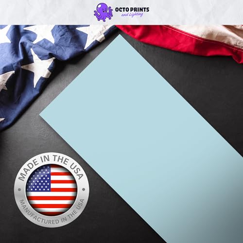 OCTO LIGHTS Magnetic Light Covers for Ceiling Lights Classroom Fluorescent Light Covers Solid Light Blue 2x4 Ceiling Light Cover for Classroom Lights, Office, and Medical Spaces (Pack of 1) - color: Light Blue