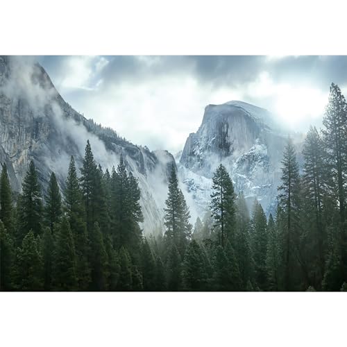 9x6ft Misty Forest Mountain Backdrop Nature Scenery Pine Trees Forest Outdoor Hiking Camping Photography Background Foggy Woodland Landscape Travel Adventure Party Banner Photo Booth Props - color: Color D, size: 9x6ft