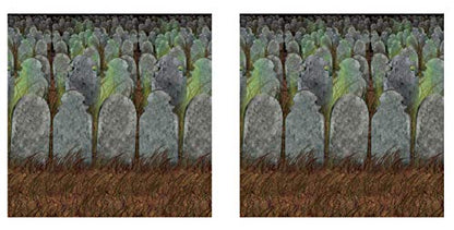 Beistle Graveyard Backdrops – 2 Printed Tombstone Cemetery Plastic Wall Coverings for Halloween Haunted House Party Décor Indoor Spooky Scene Background Display, 4 Ft x 30 Ft Each - style: Graveyard - 2 Piece