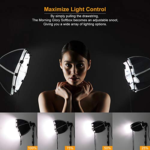LINCO Lincostore Studio Round Lighting LED Bulb 15 inch Portrait Light Modern Style with Diffuser (Single Light) AM264
