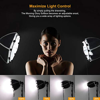 LINCO Lincostore Studio Round Lighting LED Bulb 15 inch Portrait Light Modern Style with Diffuser (Single Light) AM264