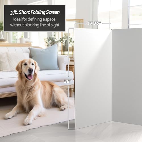 3 ft. Short White Temporary Cardboard Folding Screen - 4 Panels - size: 3 ft Short - 4 Panel