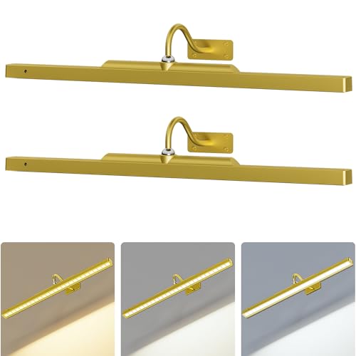 2 Pack Picture Art Lights - 24 Inch 6000mAh Gold Cordless Battery Powered Art Light with Dimmable Remote for Living Room, Artwork & Dartboard - color: Gold, size: 24IN-2pack