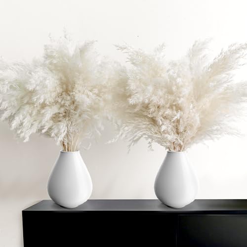 30PCS White Pampas Grass for Home Decor - Elegant Boho Decor - Premium Quality Pampas Grass Stems - Perfect for House, Nursery, Western, Wedding, Table, and Bohemian Decor - size: 30PCS-White