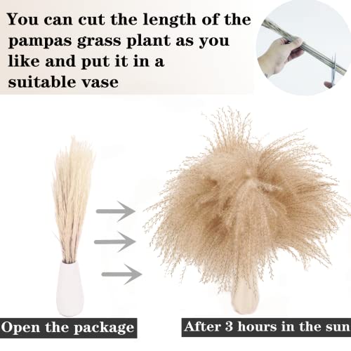 Natural Dried Pampas Grass Decor, Brown Pampas Grass， Bunny Tails Dried Flowers, Reed Grass Bouquet for Wedding Boho Flowers Home Table Decor, Fall Decor，Rustic Farmhouse Party (100 in Total ) - size: 100cps-brown