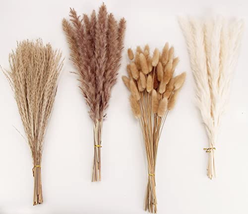 Natural Dried Pampas Grass Decor, Brown Pampas Grass， Bunny Tails Dried Flowers, Reed Grass Bouquet for Wedding Boho Flowers Home Table Decor, Fall Decor，Rustic Farmhouse Party (100 in Total ) - size: 100cps-brown