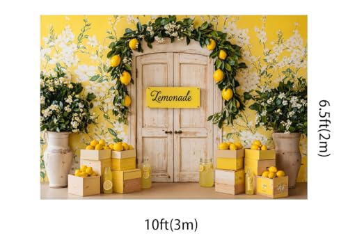Kate 10x6.5ft Fresh Lemon Shop Backdrops for Photography Retro Wood Door Lemonade Party Background Baby Gilrs Portrait Photo Studio Backdrop - size: 10x6.5ft