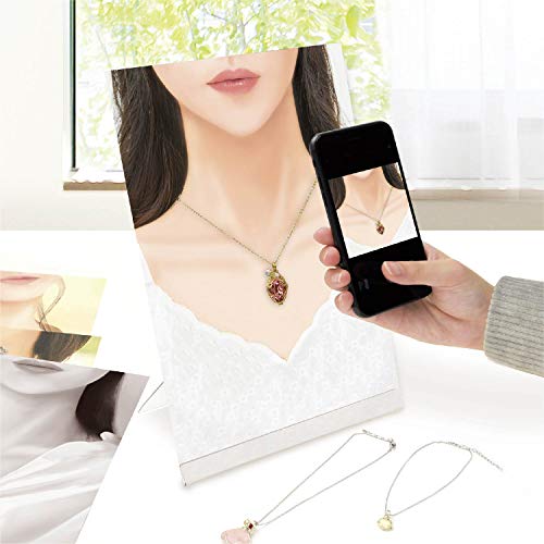 Sasagawa 35-5006 Original Works Photo Kit, Drawing Making Kit, for Necklace Exhibition - color: Japanese, style: Necklace