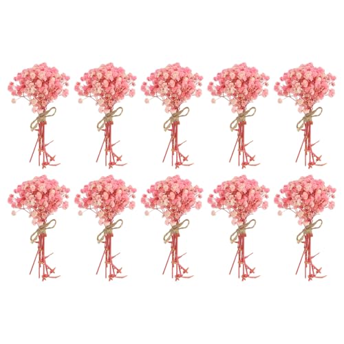 PATIKIL Mini Dried Flower Bouquet, 10 Pcs Baby's Breath Natural Wildflower with Stem Decor Boho Floral Plant Flower for Crafts DIY Photo Props Gift Wedding Decor, Pink - color: Pink