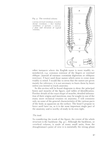 Anatomy and Perspective: The Fundamentals of Figure Drawing