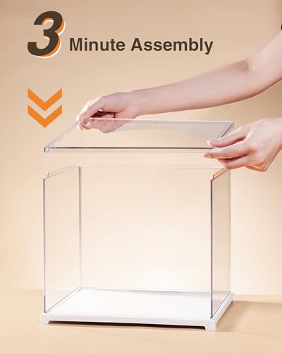 ROBOTIME Clear Acrylic Display Case Dustproof Box Stand with White Base, Dust Cover Display Case for Assemble Countertop Cube Organizer Stand Storage Boxes（11.3x9.3x9.6inch）