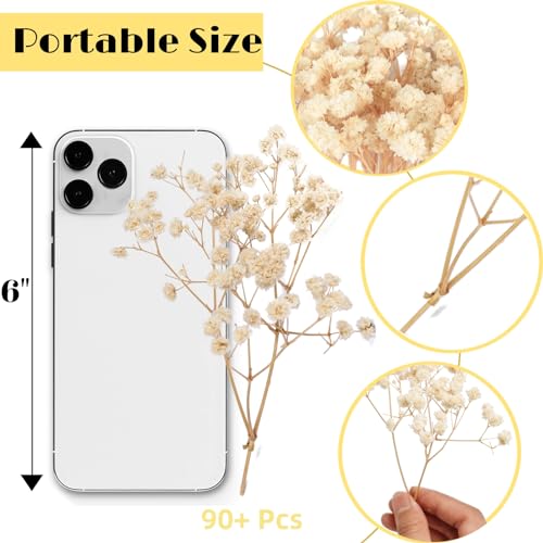 4700+ Mini Dried Babys Breath Flowers, 90+Pcs Ivory White Baby Breath Flower Bulk, Dried Flowers for Crafts, Wedding Decor Boho Invitation, Resin Candle Making, Dry Babies Flowers, Rustic Gypsophila