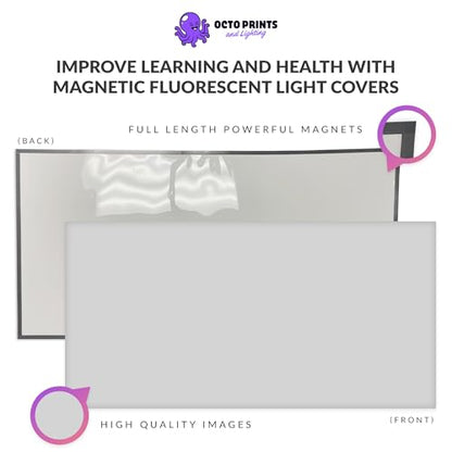 Octo Lights Magnetic Light Covers for Ceiling Lights Classroom Fluorescent Light Covers Solid Medium Gray 2x4 Ceiling Light Cover for Classroom Lights, Office, and Medical Spaces (Pack of 1) - color: Medium Grey