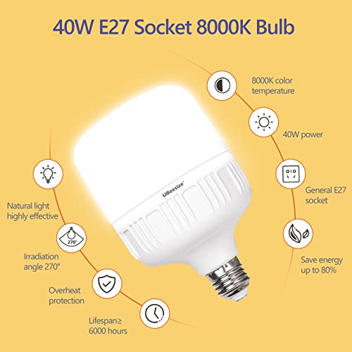 UBeesize Softbox Photography Lighting Kit, 27” x 20” Continuous Lighting Kit with 2pcs 40W E27 Socket 6500K Bulbs, Professional Photo Studio Lighting for Video Recording, Portrait Shooting - style: Rectangular Softbox+Daylight Bulb