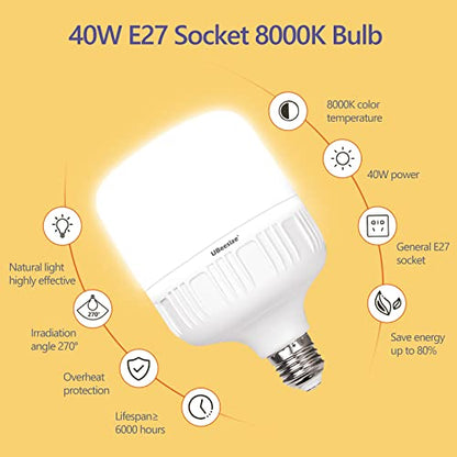 UBeesize Softbox Photography Lighting Kit, 27” x 20” Continuous Lighting Kit with 2pcs 40W E27 Socket 6500K Bulbs, Professional Photo Studio Lighting for Video Recording, Portrait Shooting - style: Rectangular Softbox+Daylight Bulb