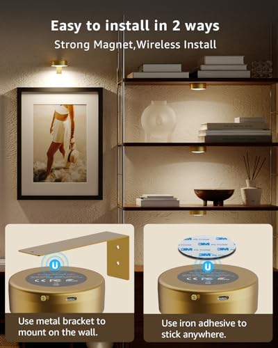 RGB USB Rechargeable Picture Lights, Gold 2600mAh Battery Operated Art Lights for Paintings Wireless Light Over Picture Frame Cordless LED Gallery Wall Light Remote Spotlight for Poster Photo Artwork - size: 4 pack