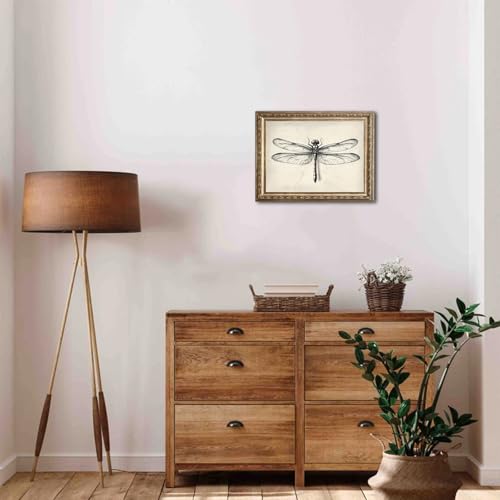 uniro Vintage Dragonfly Sketch Wall Art Prints Farmhouse Decor Neutral Insect Animal Wall Decor, Antique Dragonfly Sketch Drawing Canvas Oil Painting Vintage Artwork Pictures for Bedroom Living Room Decor (8" x 10"-UNFRAMED) - color: Dragonfly Sketch