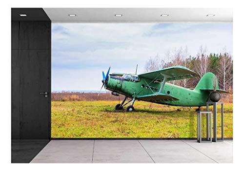 wall26 - Old Airplane on Field in Autumn Time - Removable Wall Mural | Self-Adhesive Large Wallpaper - 66x96 inches - color: Artwork - 11, size: 66"x96"