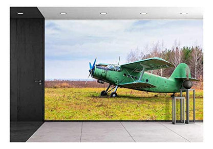 wall26 - Old Airplane on Field in Autumn Time - Removable Wall Mural | Self-Adhesive Large Wallpaper - 66x96 inches - color: Artwork - 11, size: 66"x96"