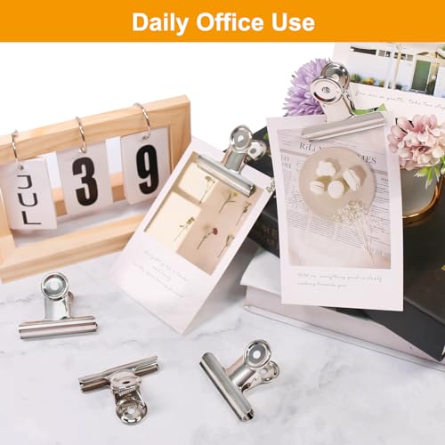 Coideal Large Bulldog Binder Paper Clips, 12 Pack Big Metal Bull Clips Silver Hinge Clip Clamps for Files Crafts, Food Bags, Drawing, Photo at Kitchen & Office (2 1/2 Inch) - color: Silver