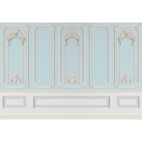 Leyiyi 5x4ft Blue White Vintage Room Inside Backdrop European Frame Modern House French Castle Cementery Wall Retro Style Photo Background Cowboy Kids Birthday Portrait Photo Studio Props - color: Blue White, size: 5x4ft