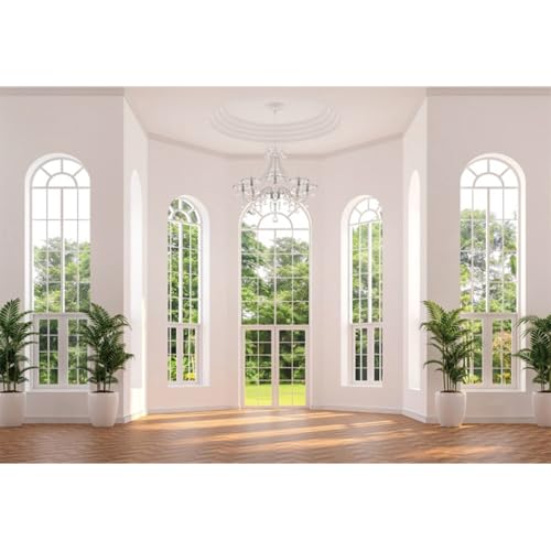 Laeacco 9x6ft Villa Hall Backdrop White Wall Interior Arch Door Window Scenery Photography Background for Business Office Video Conference Decoration Birthday Travel Party Banner Photo Booth Props - size: 9x6ft