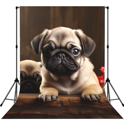Puppys Pug Backdrop Background for Photography 5x7ft Photobooth Professional Photo Backdrop Curtains Video Photography Studio Photo Backgrounds Banner Booth Background Screen Parties - color: Puppys Pug