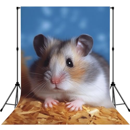 Hamster Backdrop Background for Photography 5x7ft Photobooth Professional Photo Backdrop Curtains Video Photography Studio Photo Backgrounds Banner Booth Background Screen Parties - color: Hamster