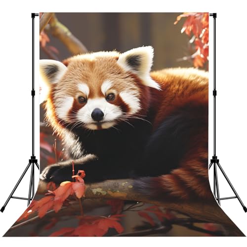 Red Panda Backdrop Background for Photography 5x7ft Photobooth Professional Photo Backdrop Curtains Video Photography Studio Photo Backgrounds Banner Booth Background Screen Parties - color: Red Panda