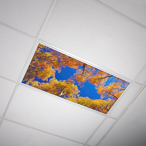 Octo Lights Tree Fluorescent Light Covers 2x4 Fixtures (22.38" x 46.5") Ceiling Light Cover for Classroom and Office, Decorative Light Covers for Ceiling Lights, Office Light Covers - (Pack of 1) - color: Aspen Tree, size: 1pk