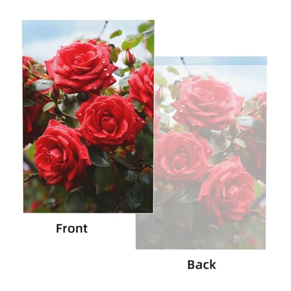 Red Roses Bush in The Garden Backdrop Background for Photography 5x7ft Photobooth Professional Photo Backdrop Curtains Video Photography Studio Photo Backgrounds Banner Booth Background Screen Parties - color: Red Roses Bush In The Garden
