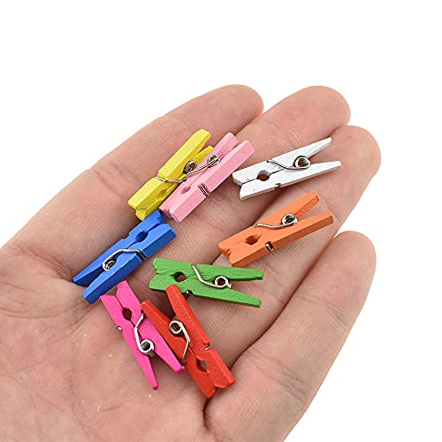 HAHIYO Colorful Wooden Clothes Pins Clothespins Mini Do NOT Fall Apart 1 inches Length 80 Pack Sturdy Strong Springs No Rust No Discoloration for Laundry Bathroom DIY Craft Photos Food Opened Bags - size: Colorful 1 inches 80 Pack