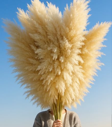 10 PCS 40" Tall Pampas Grass Stems in Natural Beige, Add a Boho Touch to Your Space—Pompas Grass Ideal for Floral Arrangements, Floor Vases, Weddings, and Creating a Bohemian Ambiance at Home. - size: 40inch-10pcs