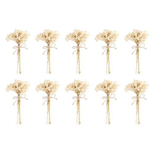 PATIKIL Mini Dried Flower Bouquet, 10 Pcs Baby's Breath Natural Wildflower with Stem Decor Boho Floral Plant Flower for Crafts DIY Photo Props Gift Wedding Decor, White - color: White
