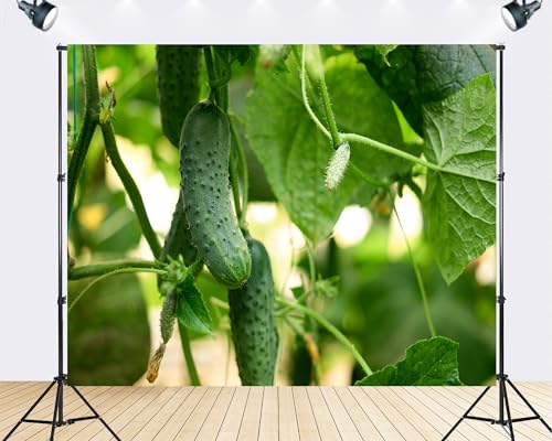 Trykid 15x8ft Fresh Cucumber Backdrop Green Vegetable Growing on Vine Garden Farm Harvest Scene Photography Background Food Wedding Party Decoration Tapestry Photo Booth Prop Fabric - size: 15x8ft