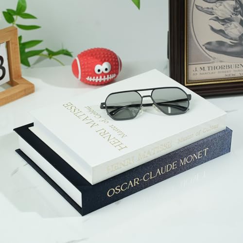 2 Pack Decorative Books Storage Boxes,Vintage Faux Books for Coffee Table,Bookshelf & Home Decor,Aesthetic Mini Book Set for Shelf Display & Keepsake Storage,Blue - color: Blue+White
