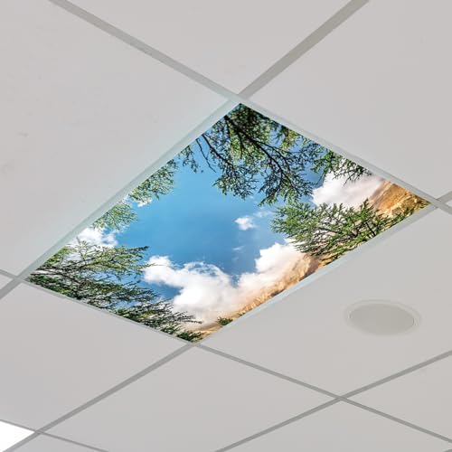 Outus Fluorescent Light Cover Classroom Lighting Cover with 10 Magnets Light Filter Magnetic Ceiling Panel Decoration 2 x 4 ft (23.62 x 47.24 In) Reduce Glare for Office School(4,Peak) - style: Peak