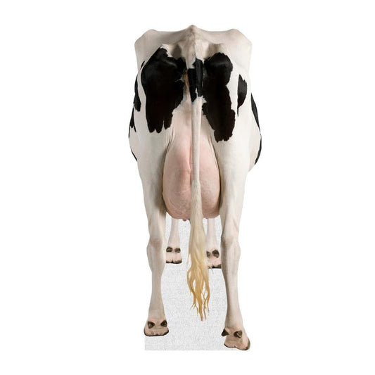 Dairy Cow - Life Size Cardboard Cutout Standup People with Support Standee | Animals -1 - color: Dairy_cow_1