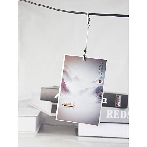 20 Pieces Double Head Alligator Clip Photo Holders Metal Wire Pictures Memo Note Clips Clamps