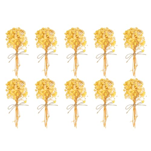 PATIKIL Mini Dried Flower Bouquet, 10 Pcs Baby's Breath Natural Wildflower with Stem Decor Boho Floral Plant Flower for Crafts DIY Photo Props Gift Wedding Decor, Yellow - color: Yellow