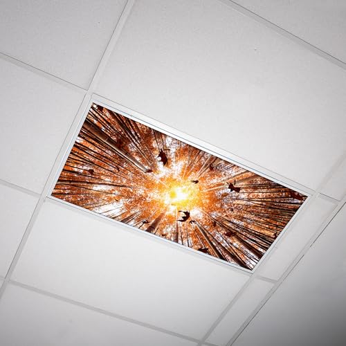 Octo Lights Tree Fluorescent Light Covers 2x4 Fixtures (22.38" x 46.5") Ceiling Light Cover for Classroom and Office, Decorative Light Covers for Ceiling Lights, Office Light Covers - (Pack of 1) - color: Autumn Bamboo, size: 1pk