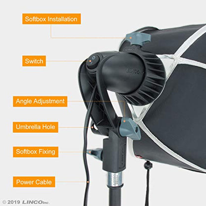 LINCO Lincostore Studio Round Lighting LED Bulb 15 inch Portrait Light Modern Style with Diffuser (Single Light) AM264