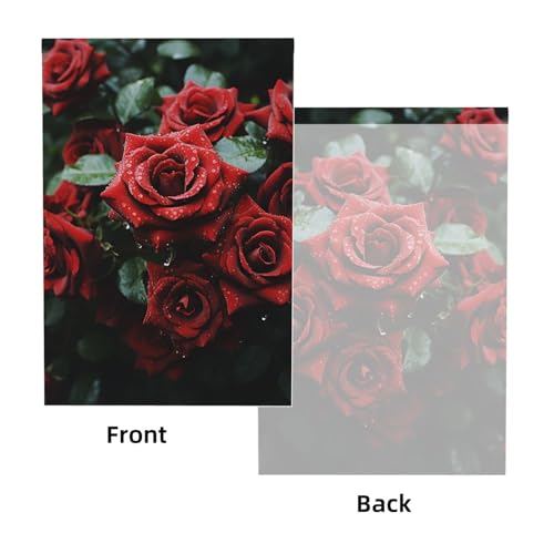 Red and Black Rose Backdrop Background for Photography 5x7ft Photobooth Professional Photo Backdrop Curtains Video Photography Studio Photo Backgrounds Banner Booth Background Screen Parties - color: Red And Black Rose