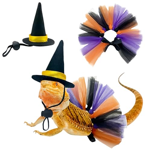 Reptile Witch Costume for Lizard & Chameleon - Adjustable Hat & Tutu Skirt, Festive Reptile Cosplay Outfit for Photo Props Halloween Christmas-Black Hat - color: Witch-Black Hat