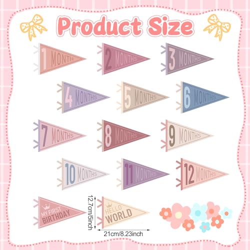 VitalCozy 14 Pcs Baby Milestone Pennant Signs Monthly Milestone Banner Flags Pennant Triangle Banner Age Flag Signs for Boy Girl Newborn Birthday Party Decor(Pastel Color) - color: Pastel Color