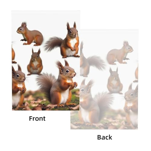 Cute Squirrels Backdrop Background for Photography 5x7ft Photobooth Professional Photo Backdrop Curtains Video Photography Studio Photo Backgrounds Banner Booth Background Screen Parties - color: Cute Squirrels
